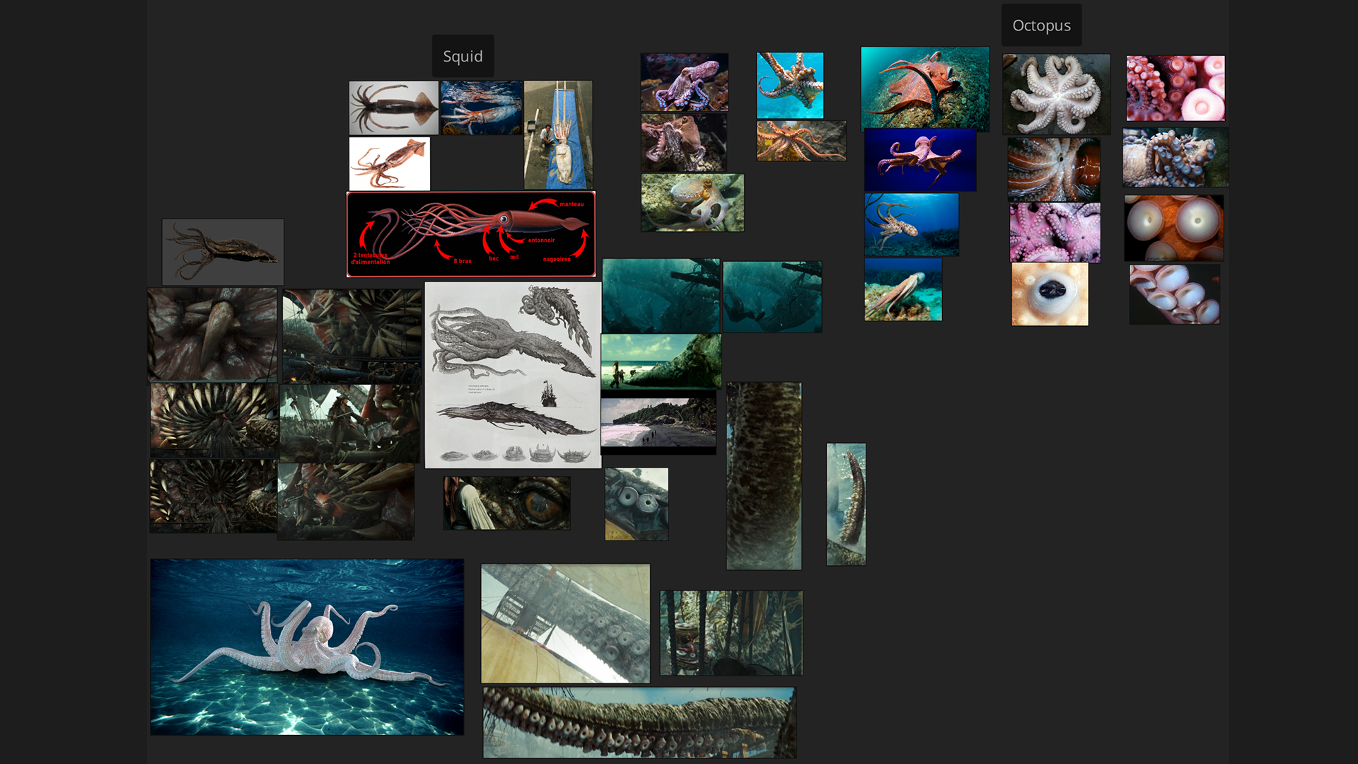 Kraken Reference